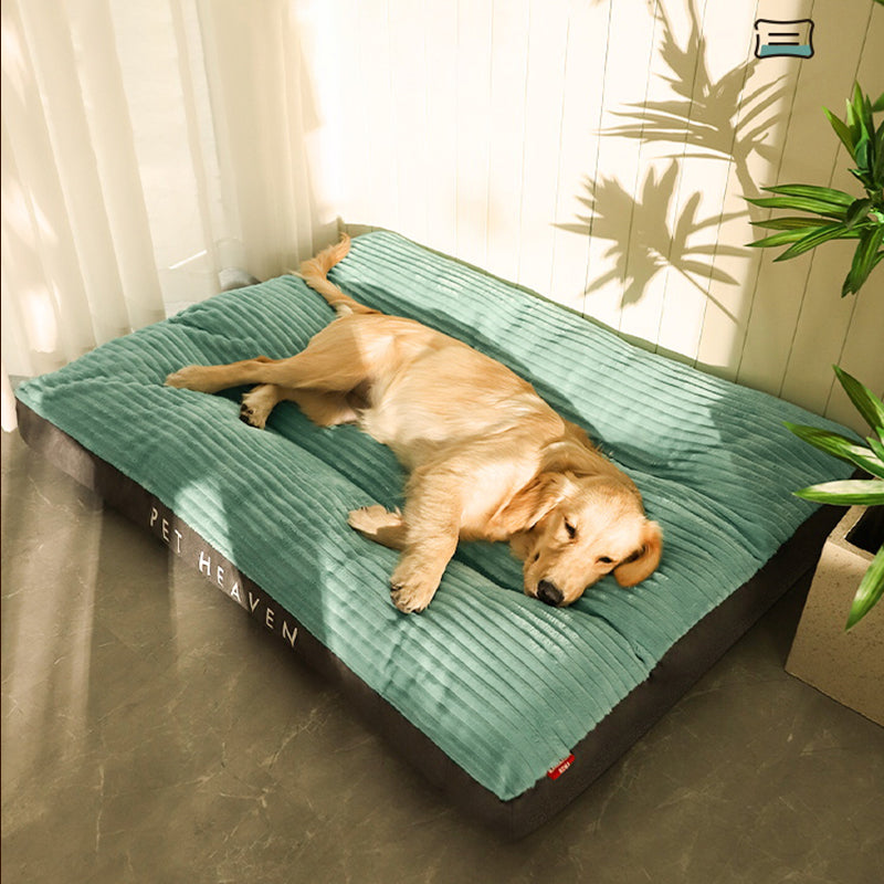 sea green plush washable dog bed with cushioned support for comfortable sleep