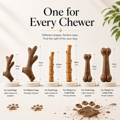 Thoughtfully selected for everyday life