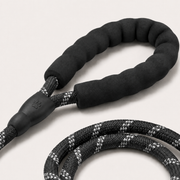 Trek Harness Set with adjustable straps and matching leash