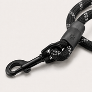 Close-up of reflective braided leash and clasp