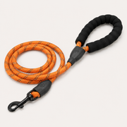 Close-up of Trek Harness Set padded leash handle