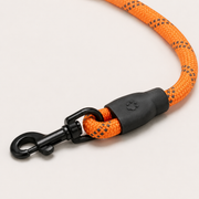 Close-up of reflective braided leash and clasp