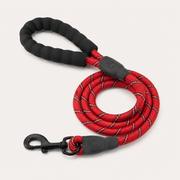 Close-up of Trek Harness Set reflective leash and metal clasp
