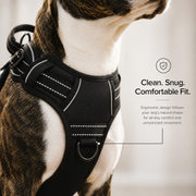 Trek dog harness reflective detailing for low-light visibility