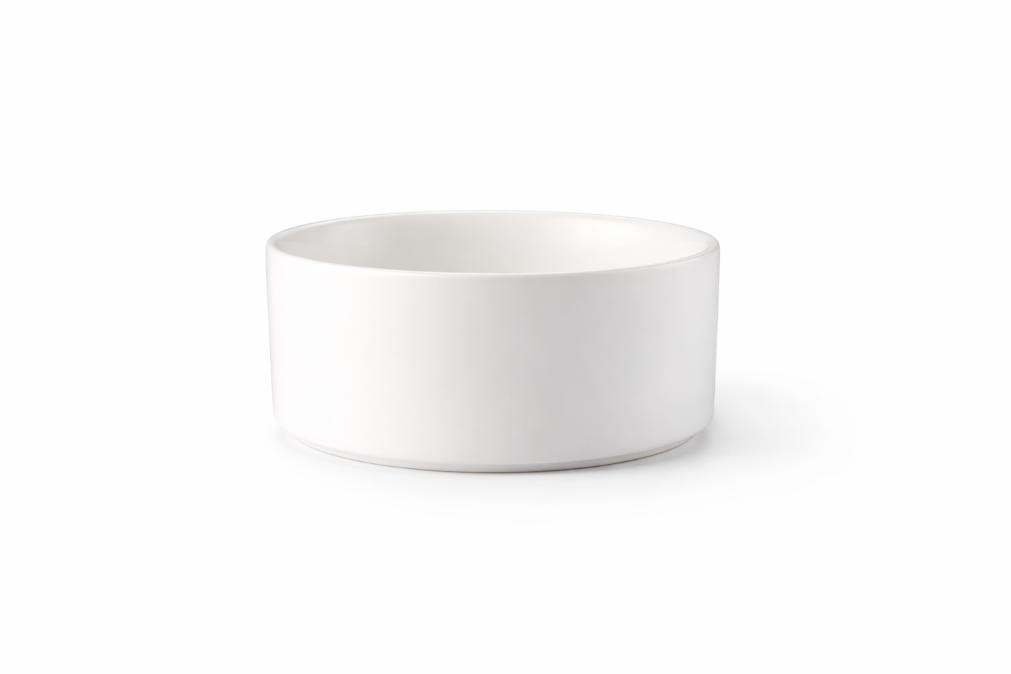 white ceramic pet bowl with smooth non-porous surface