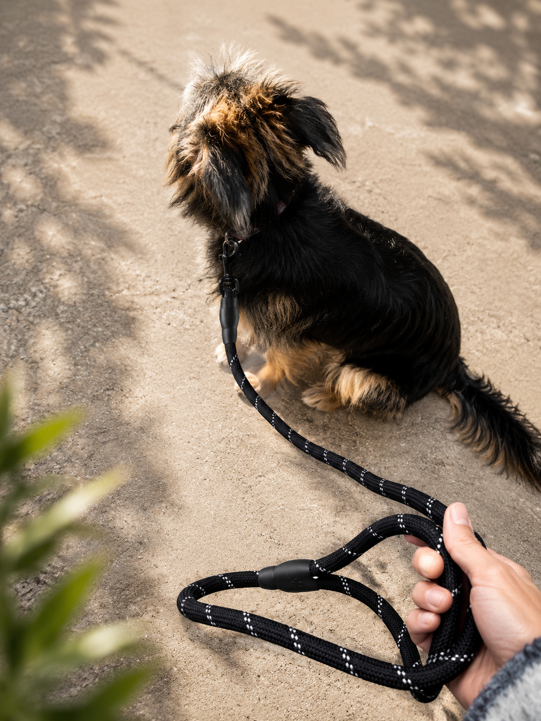 Reflective Braided Leash