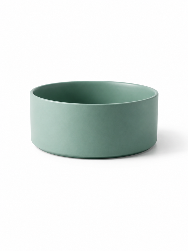 Ceramic Bowl