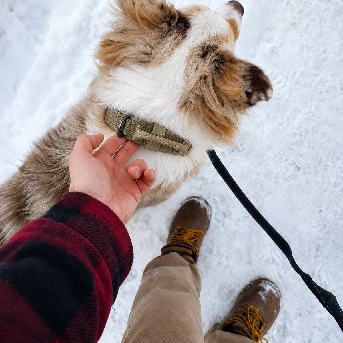 Trek dog collar integrated control handle