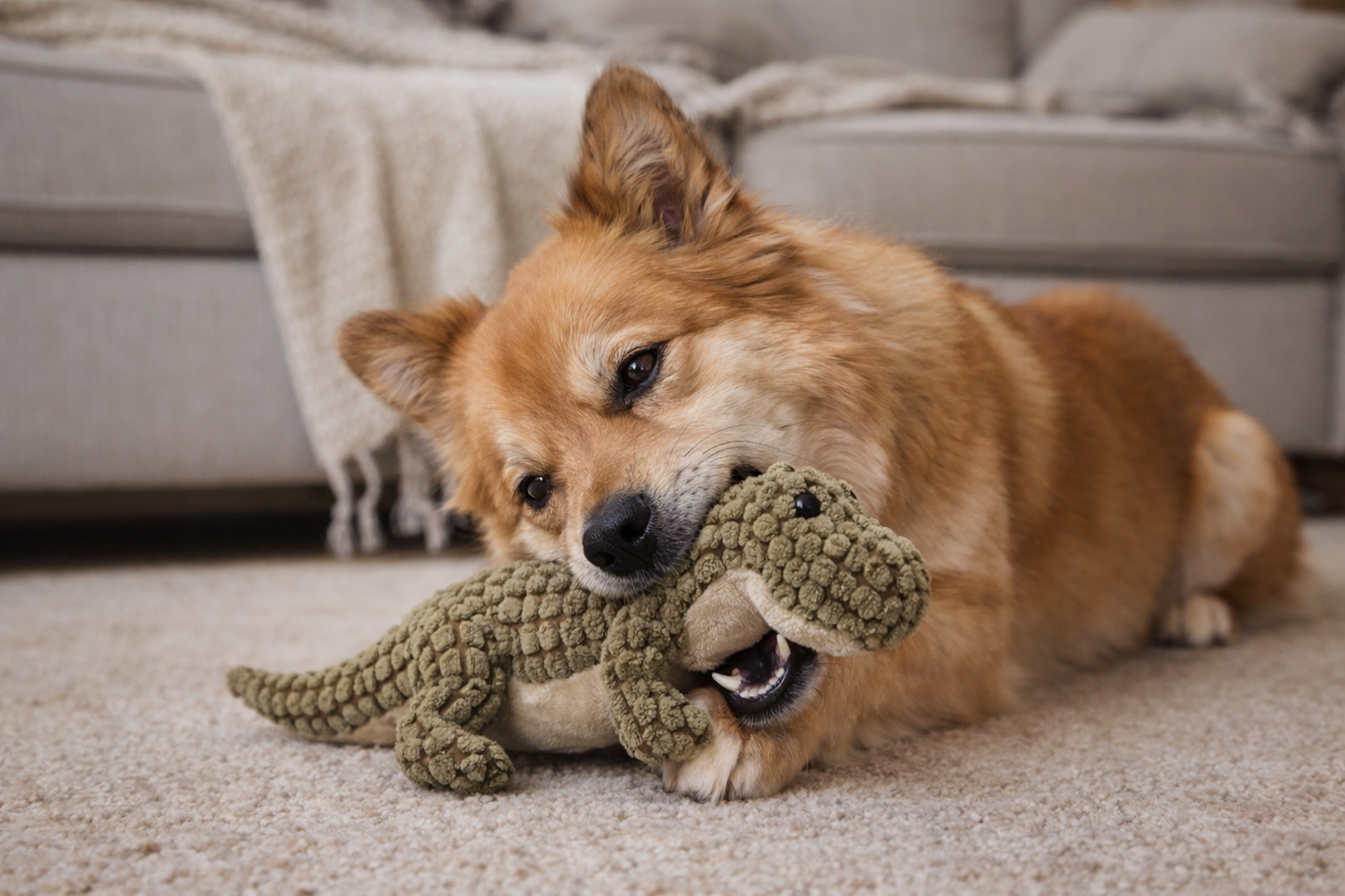 Dino Toy