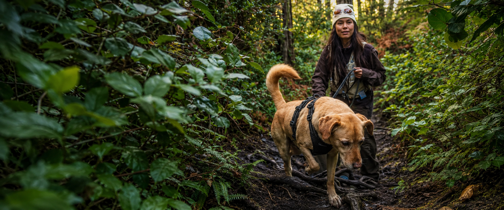 Ready for the Trail.