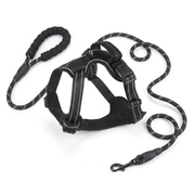 Black Trek dog harness and matching leash set