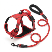 Red Trek Walk Set with reflective harness and leash