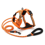 Orange Trek Walk Set with padded handle leash