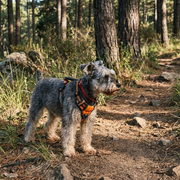 Trek dog harness material and hardware details