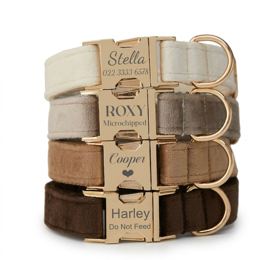 Velvet Dog Collar